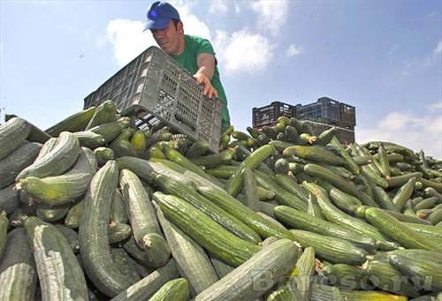 Небезопасные овощи и фрукты завезли в Приморье из Китая